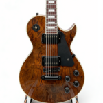 High Quality Electric Guitar Manufacturer with OEM/ODM