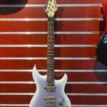 ShreFlex Guitar SF-003 Standard 24-Fret Electric Guitar | Dual Humbuckers & Stainless Steel Frets OEM/ODM Surport